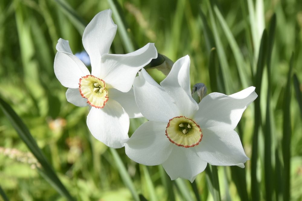 Фотография автора Юлия Финогенова