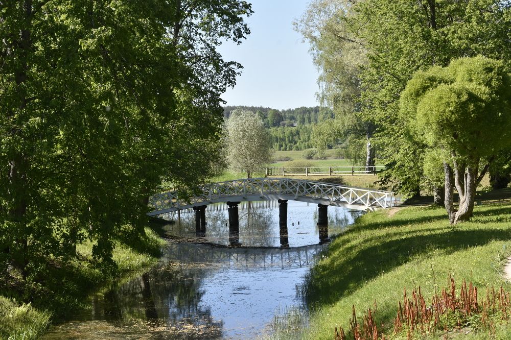 Фотография автора Юлия Финогенова