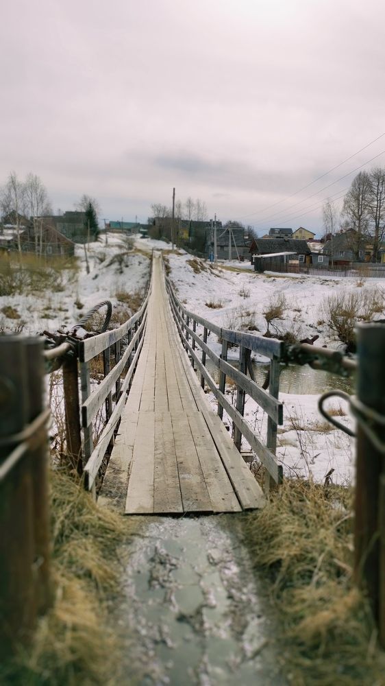 Фотография автора Марина Артемьева