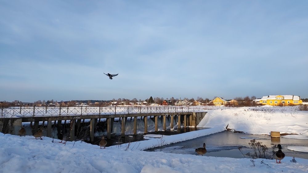 Фотография автора Марина Артемьева