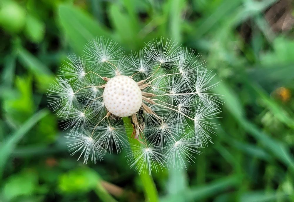 Фотография автора Метушова Анна