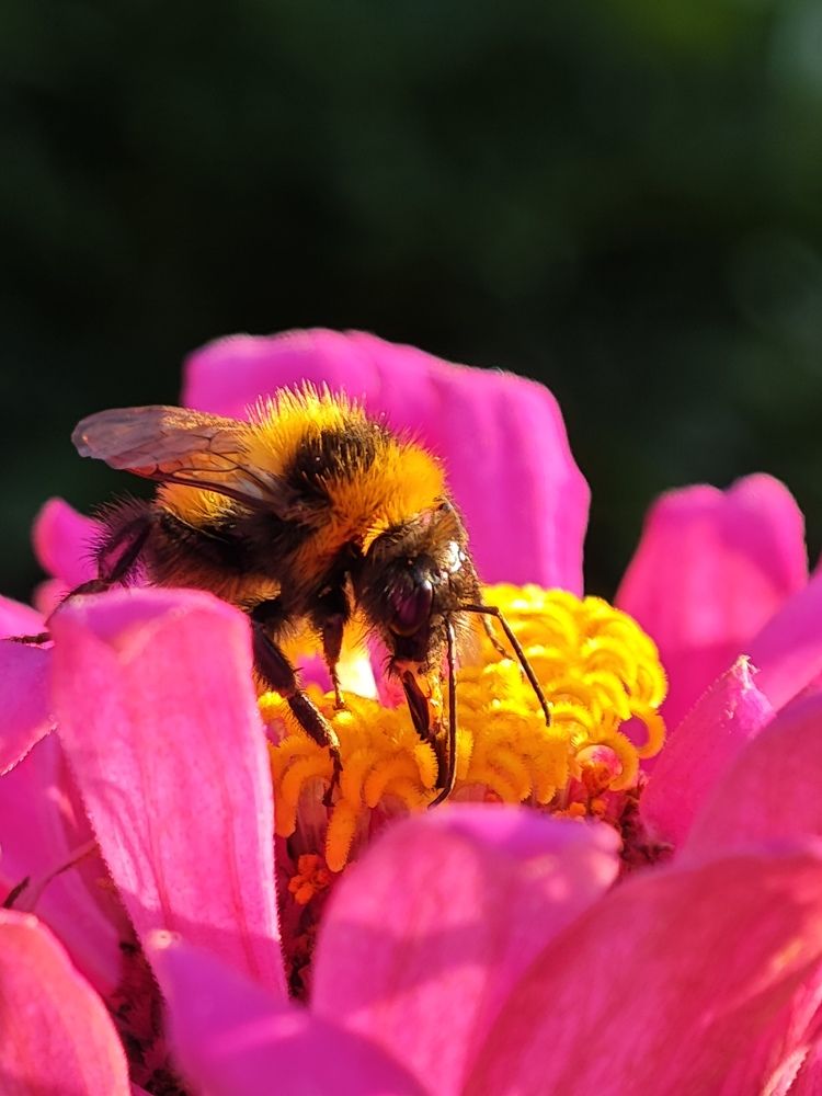 Photograph by Александр