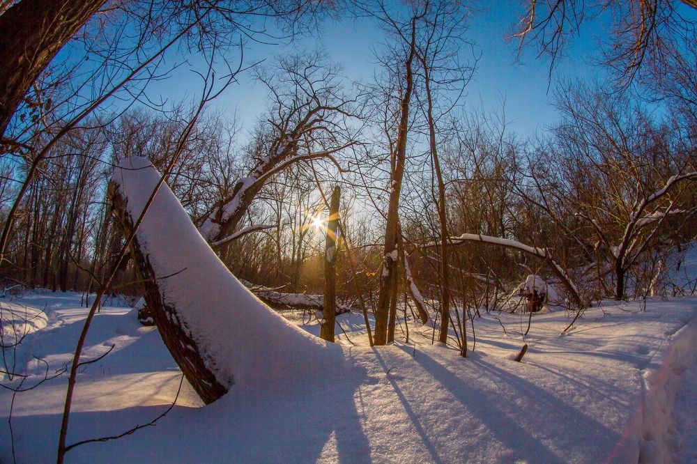 Фотография автора Иван Карпов