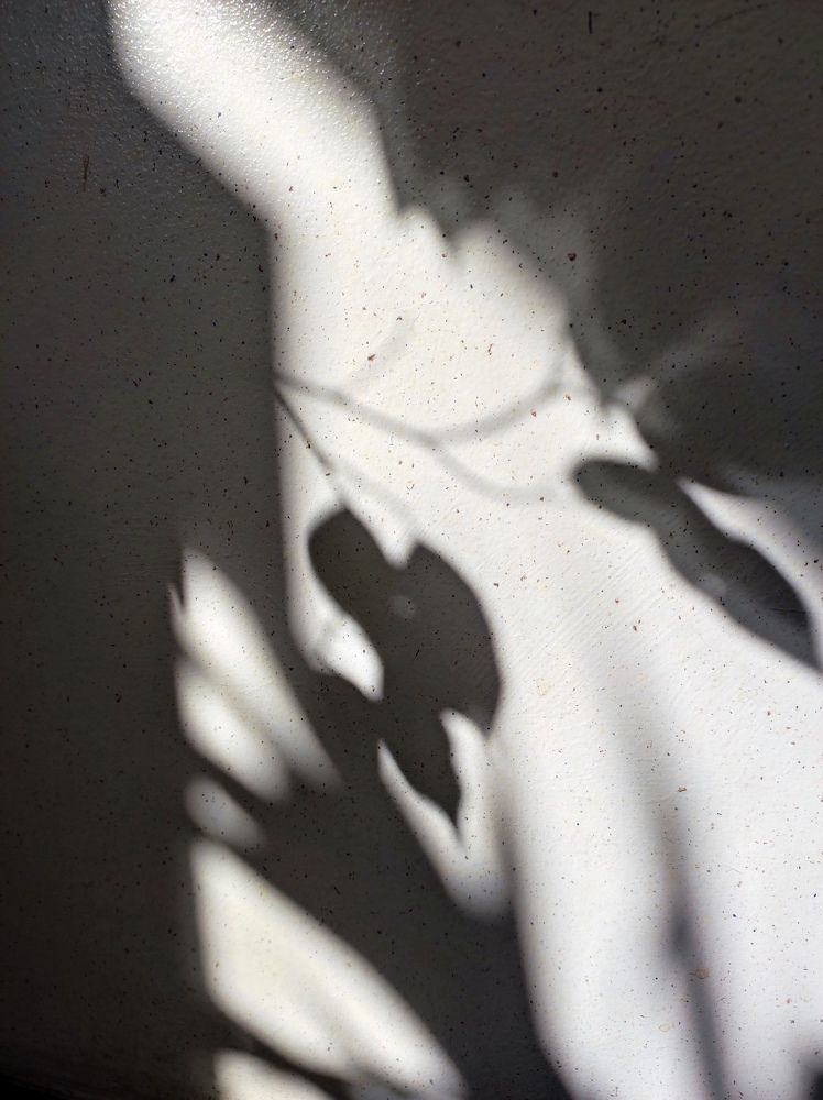 Photograph by Наталья Дячук