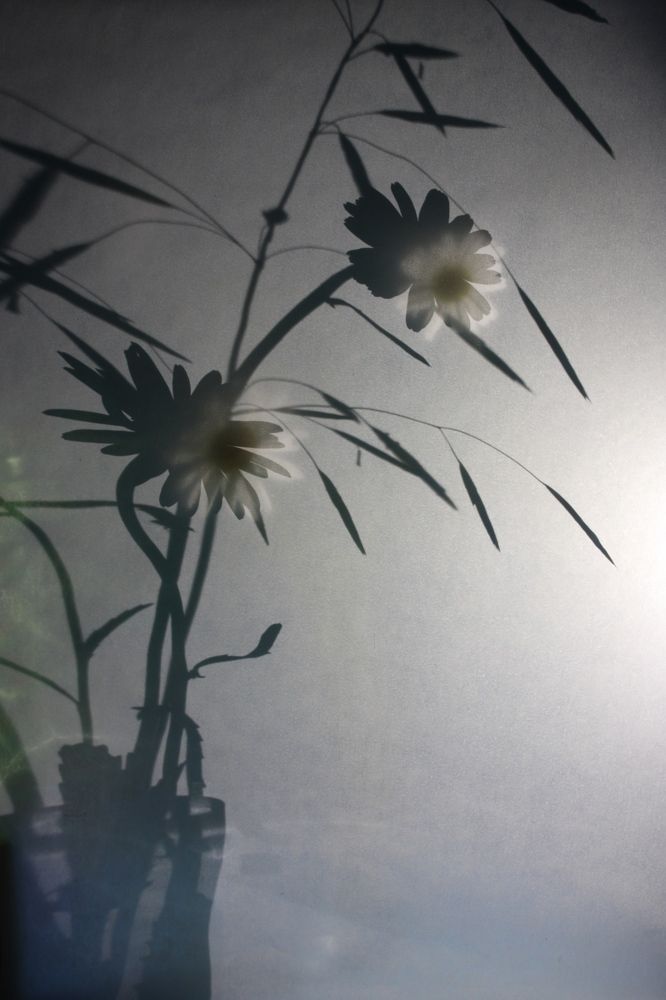 Photograph by Екатерина Пачина