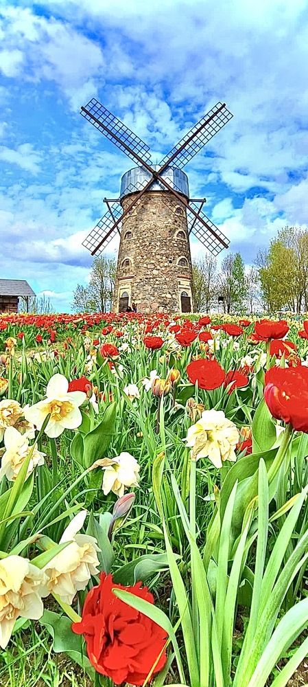 Photograph by Anna Krivorucko