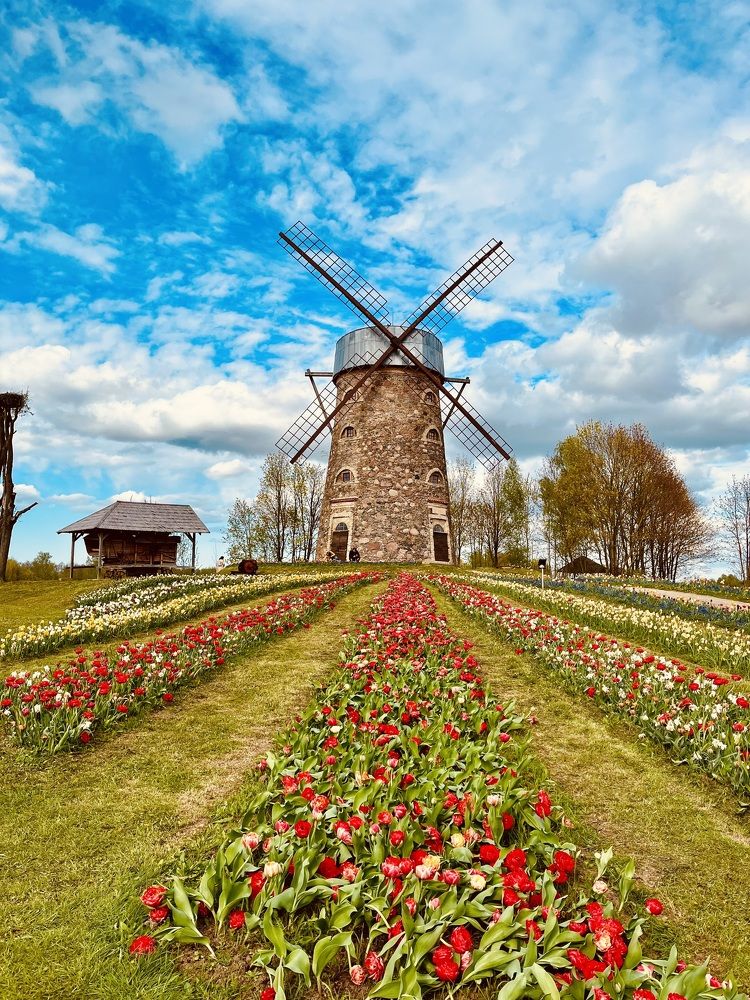 Photograph by Anna Krivorucko