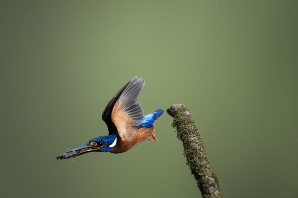 Photograph by Mukul Mukherjee