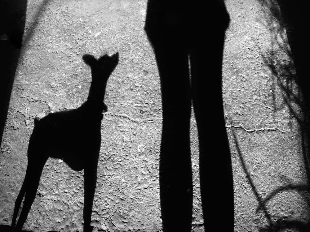 Фотография автора Diana Duque