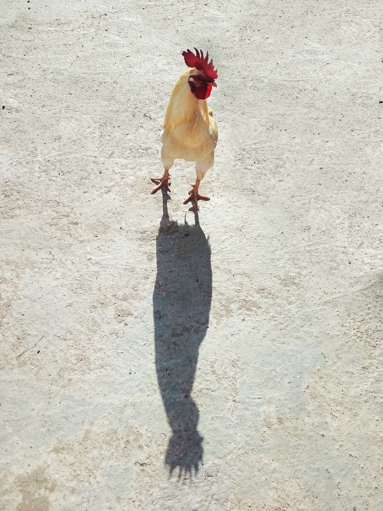 Фотография автора Diana Duque