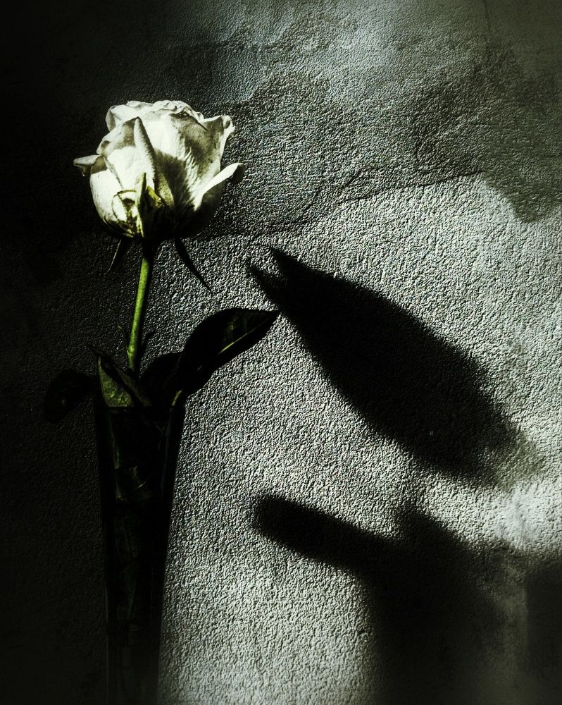 Photograph by Юлия Якубова