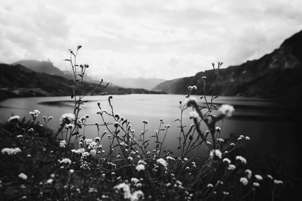 Photograph by Кирилл Гришин