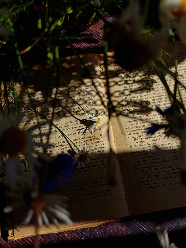 Фотография автора Светлана Таркан