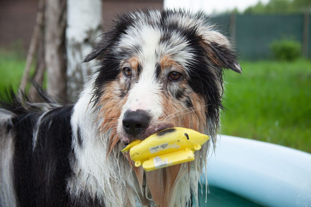 Фотография автора Анна Алексеенко