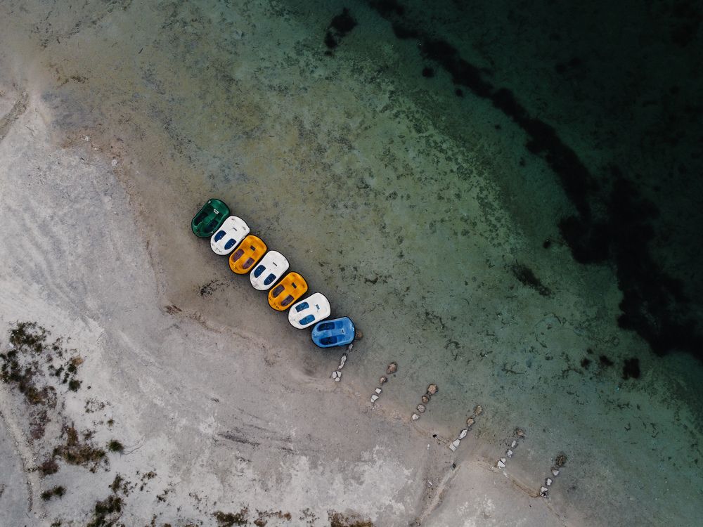 Фотография автора Shamshad Noori