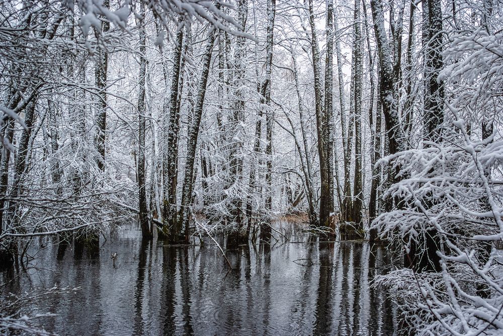 Фотография автора Aleksej Musatov