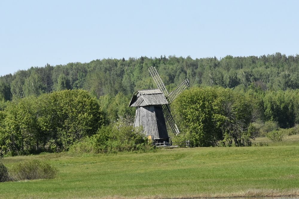 Фотография автора Юлия Финогенова