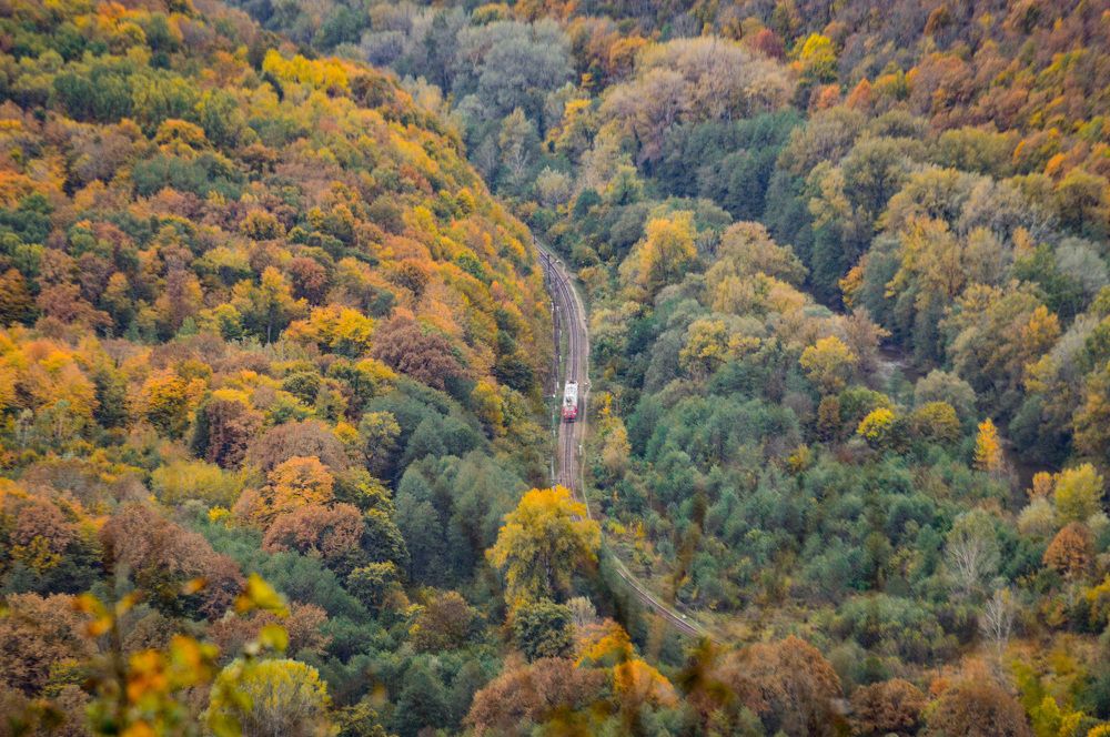 Дорога в осень