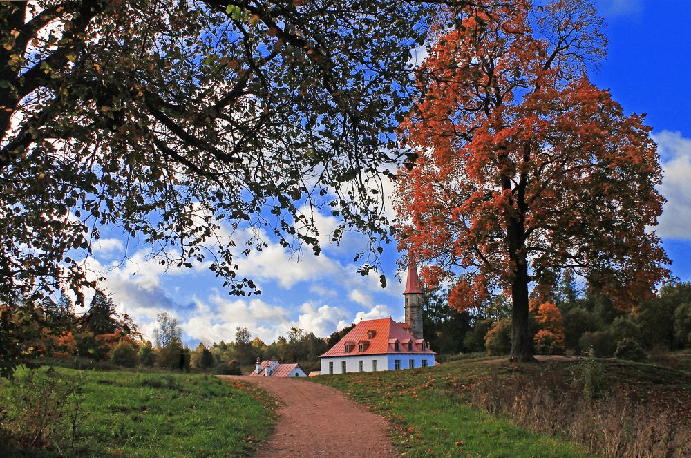 Фотография автора Алла Бойко