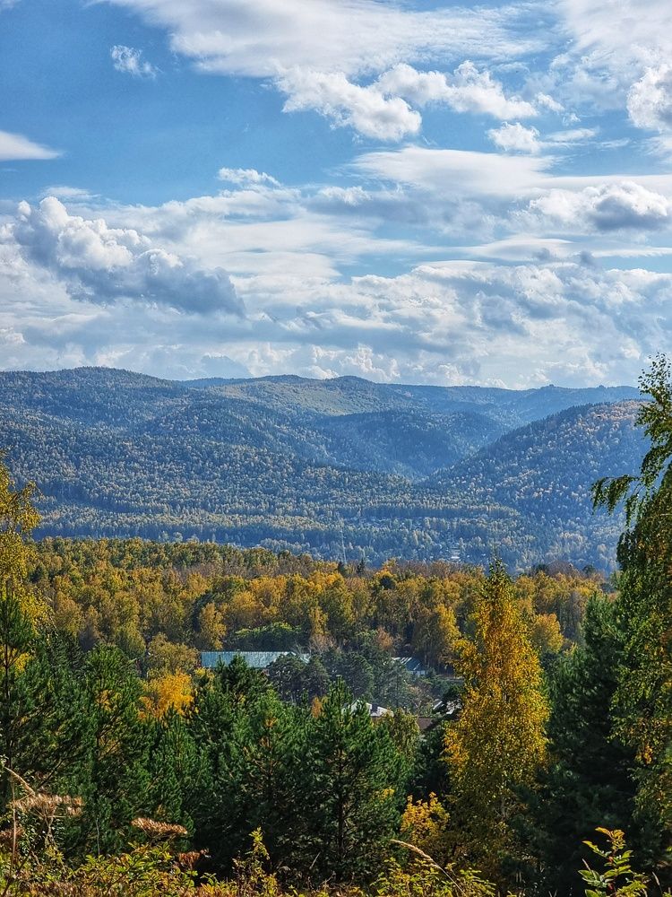 Фотография автора Лилия Шарифуллина