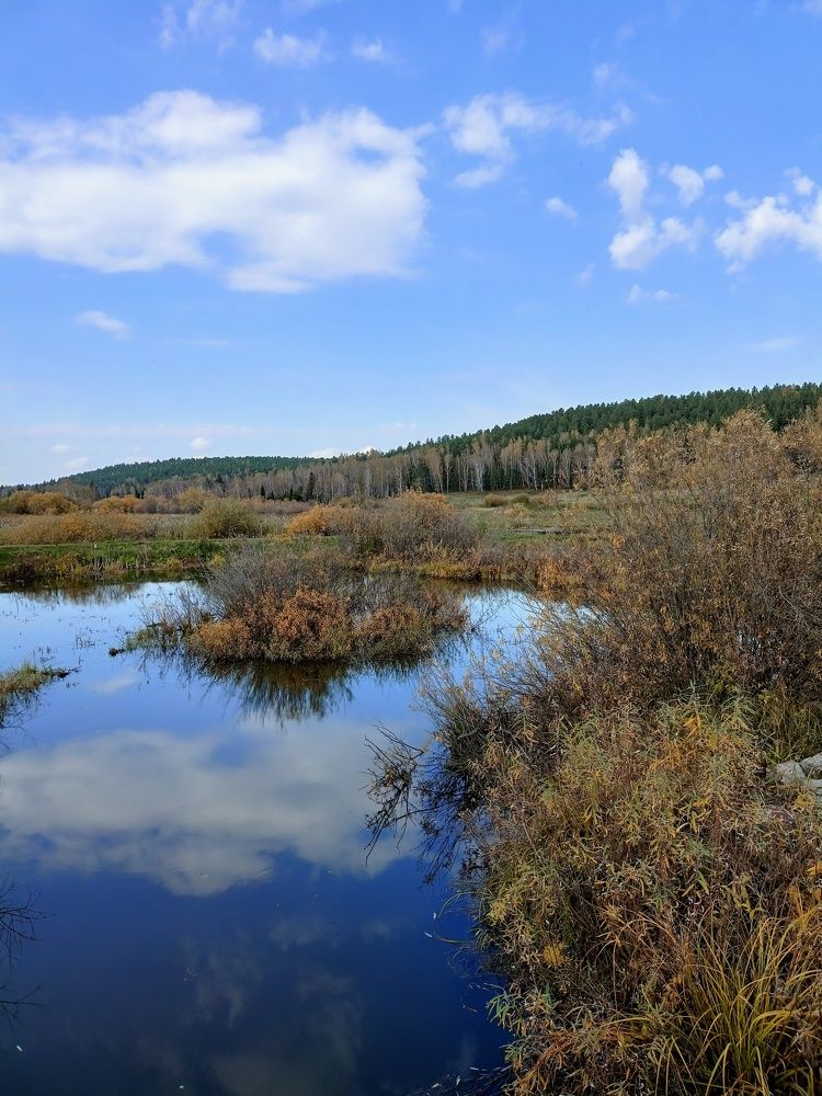 Фотография автора Анастасия Горбачева
