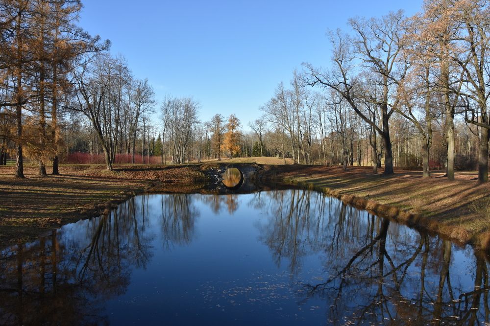 Фотография автора Юлия Финогенова