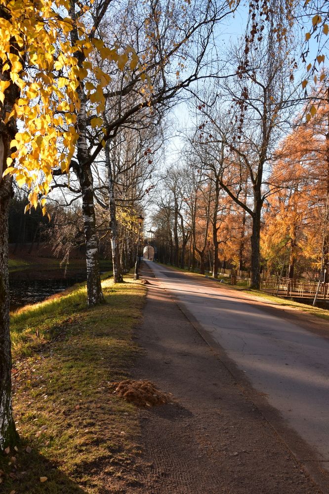 Фотография автора Юлия Финогенова