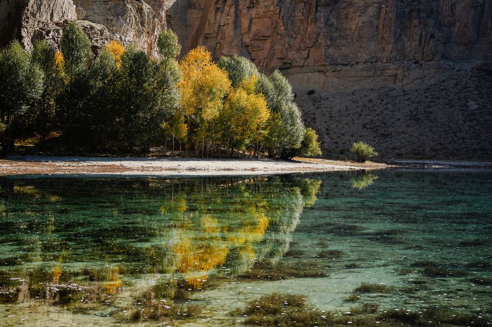 Фотография автора Shamshad Noori