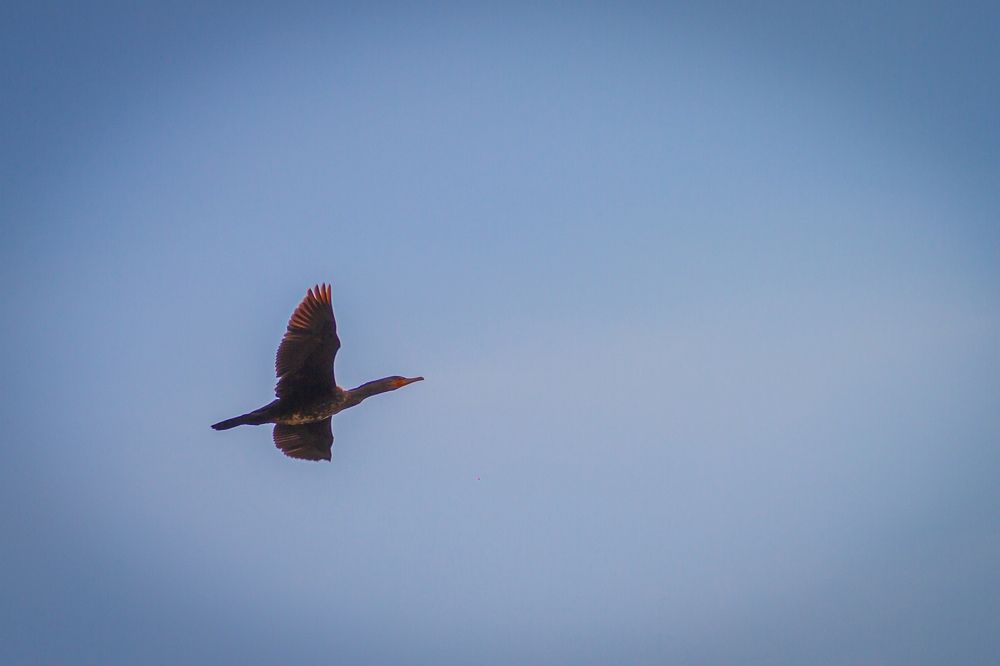 Фотография автора Иван Карпов