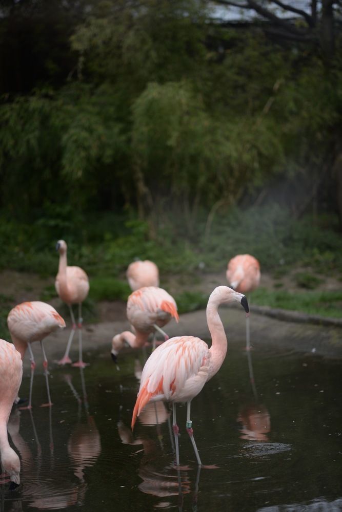 Photograph by Юлия