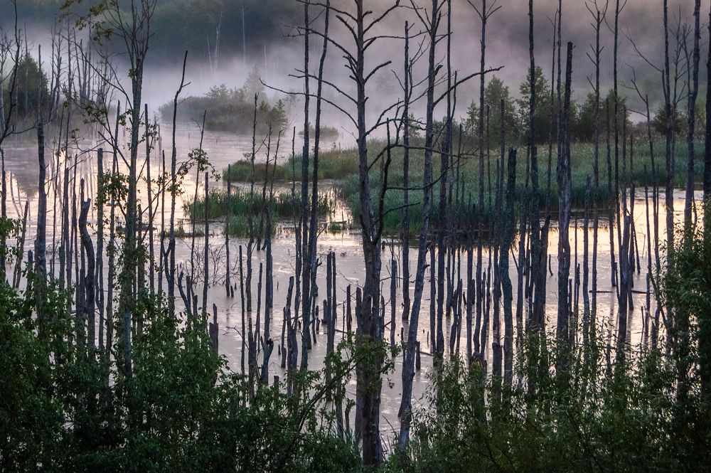 Фотография автора Aleksej Musatov