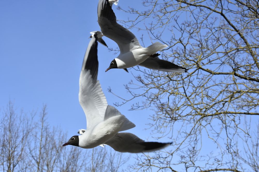 Фотография автора Юлия Финогенова