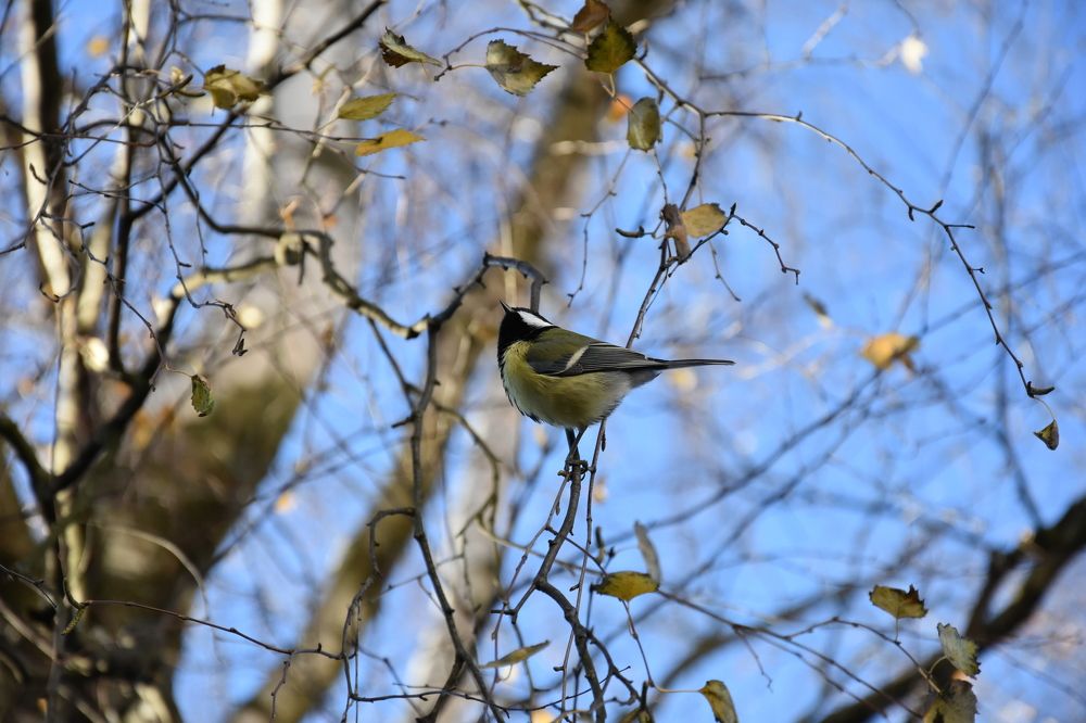 Фотография автора Юлия Финогенова