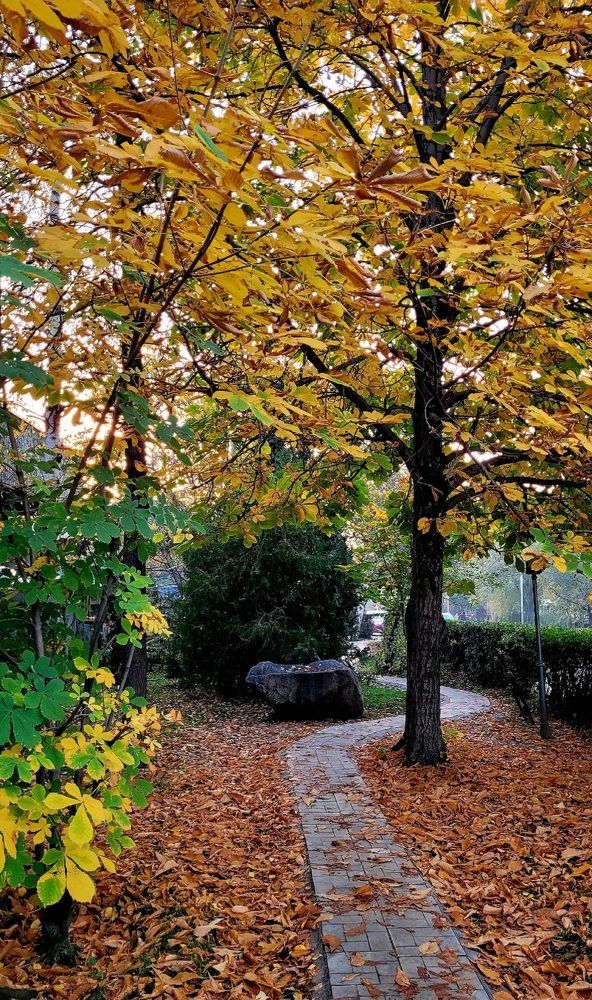 Фотография автора Метушова Анна