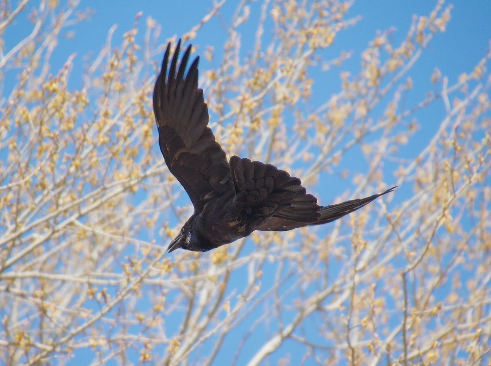 Photograph by Василий Быстрицкий
