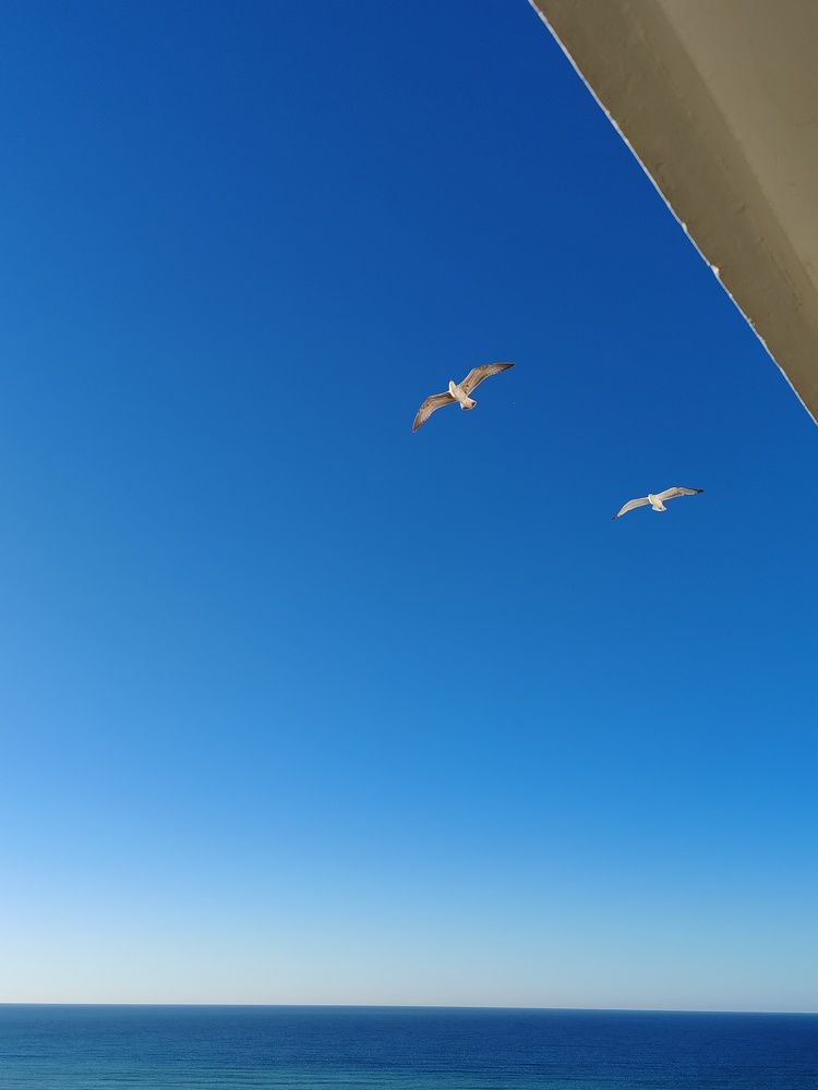 Photograph by Наталья Круглова