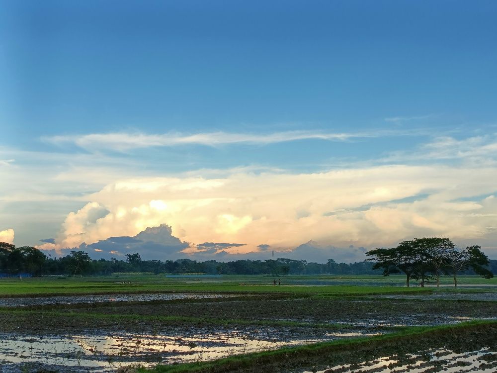 Фотография автора Fahim Foysal