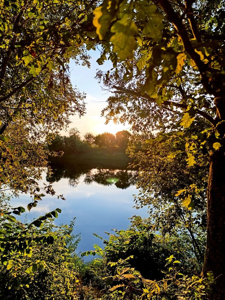 Фотография автора Светлана Таркан