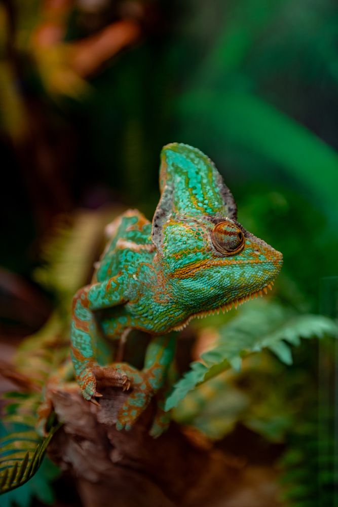 Фотография автора Игорь Брундуков