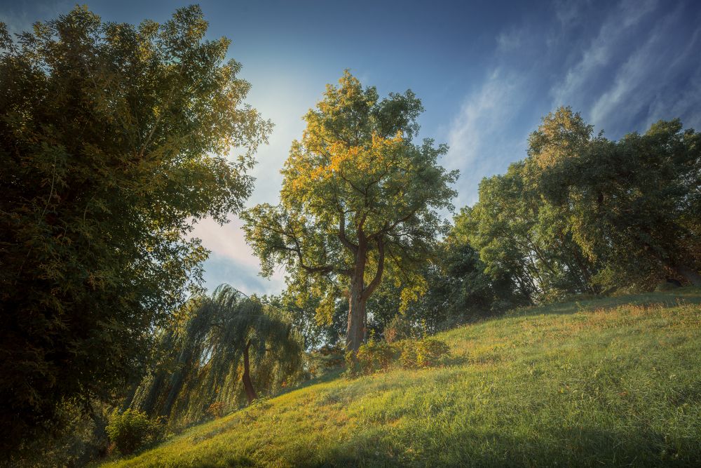 Фотография автора Игорь Брундуков