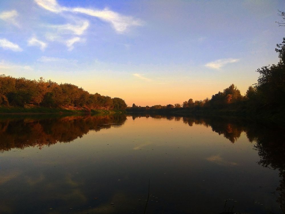 Фотография автора Светлана Таркан