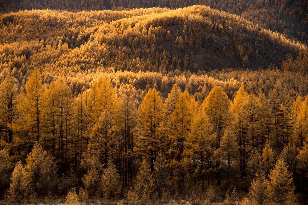 Фотография автора Марина Корреа Ластра