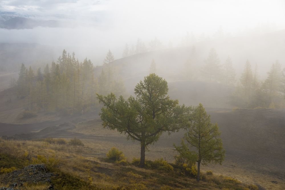Фотография автора Марина Корреа Ластра