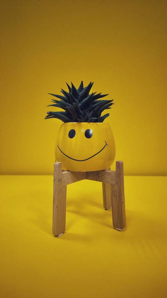 Фотография автора Ольга Попова