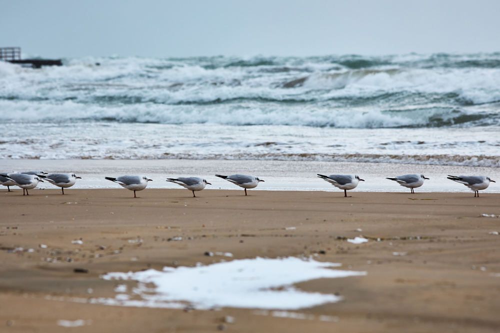 Photograph by Александр Бахаровский