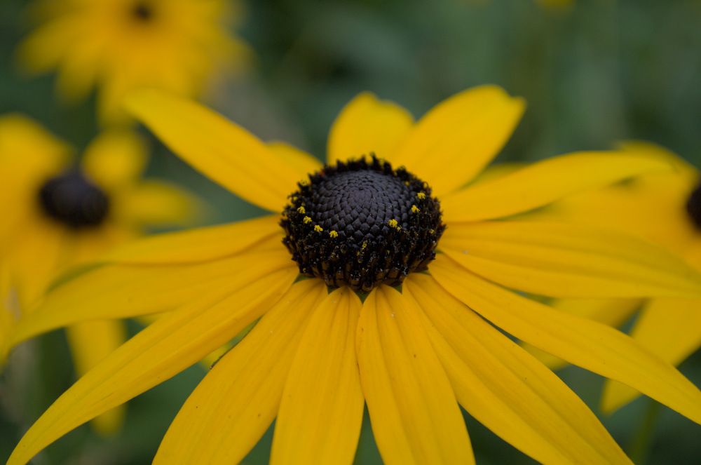 Фотография автора Мария Жданова