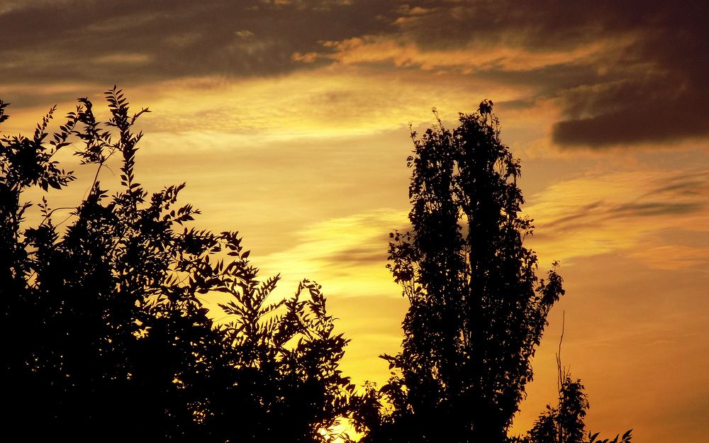 Photograph by Серега Вартман