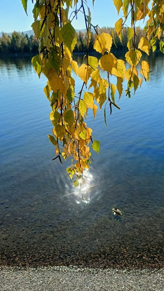Фотография автора Анастасия Горбачева