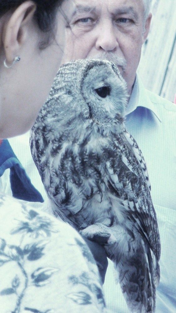 Фотография автора Irina Mihailovskaya