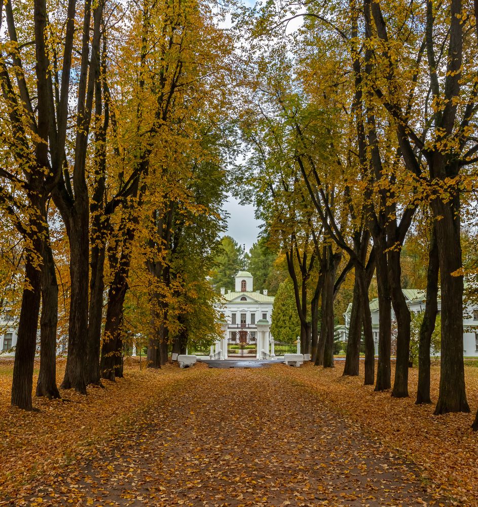 Фотография автора Алексей Бирин